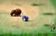 เกมส์ก้านกล้วย2